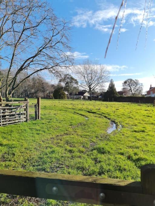 The Little Cottage - Peaceful, Dog Friendly Cottage In 5 Acres Glastonbury Eksteriør billede