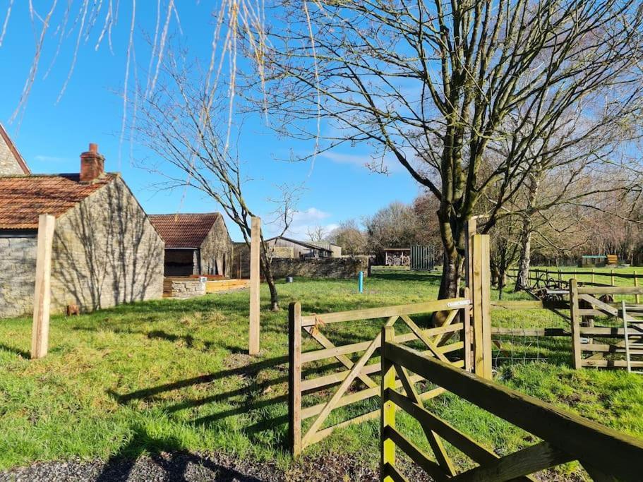 The Little Cottage - Peaceful, Dog Friendly Cottage In 5 Acres Glastonbury Eksteriør billede