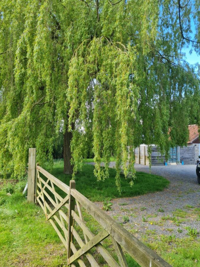 The Little Cottage - Peaceful, Dog Friendly Cottage In 5 Acres Glastonbury Eksteriør billede